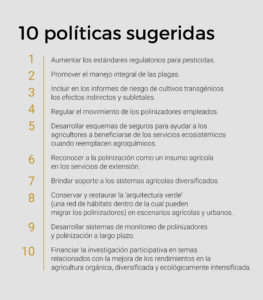 abejas