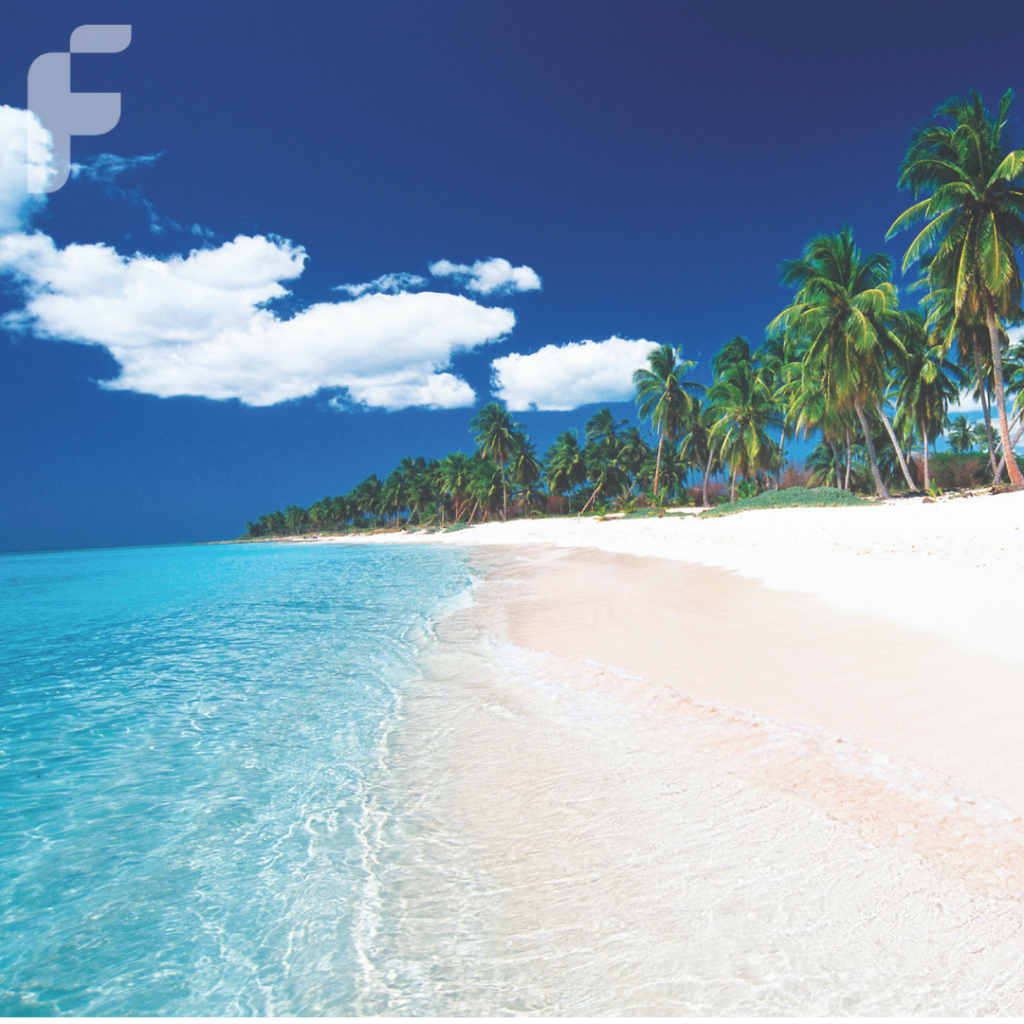 Playa Saona, una de las mejores opciones para disfrutar en Punta Cana