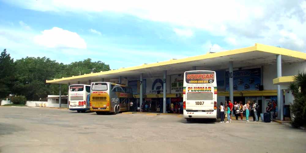 En la “Semana del bus” ofrecen pasajes de larga distancia con grandes  descuentos para las vacaciones