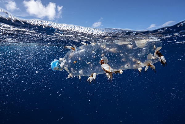 plástico flotando en el mar