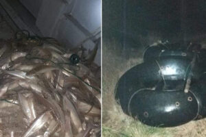Pesca clandestina en el espejo lacunario llamado “Bajo de Milanesio”.