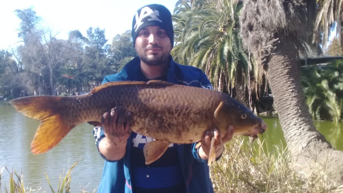 El Lago del Bosque de La Plata sigue sorprendiendo ahora pescaron una