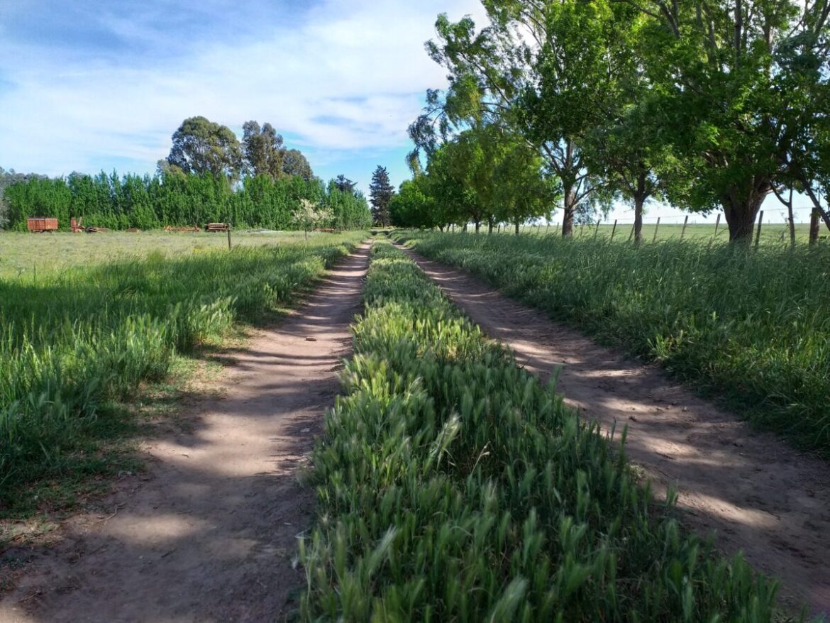 rentabilidad agroecología