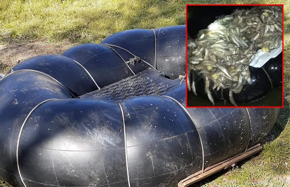 pasaron la red con una cámara de tractor
