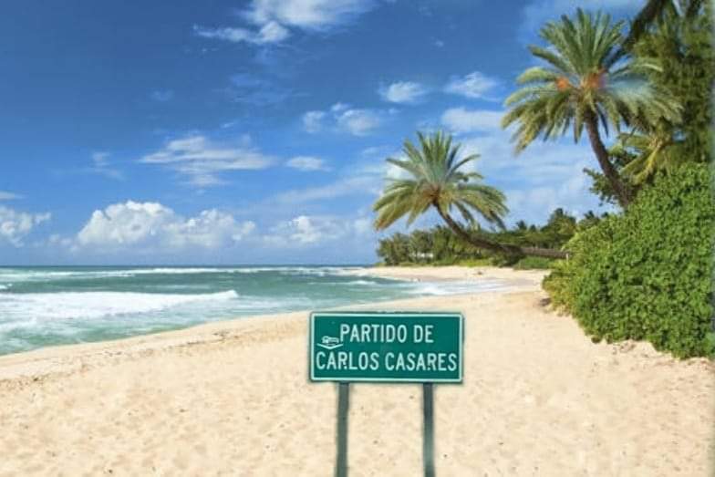 Carlos casares