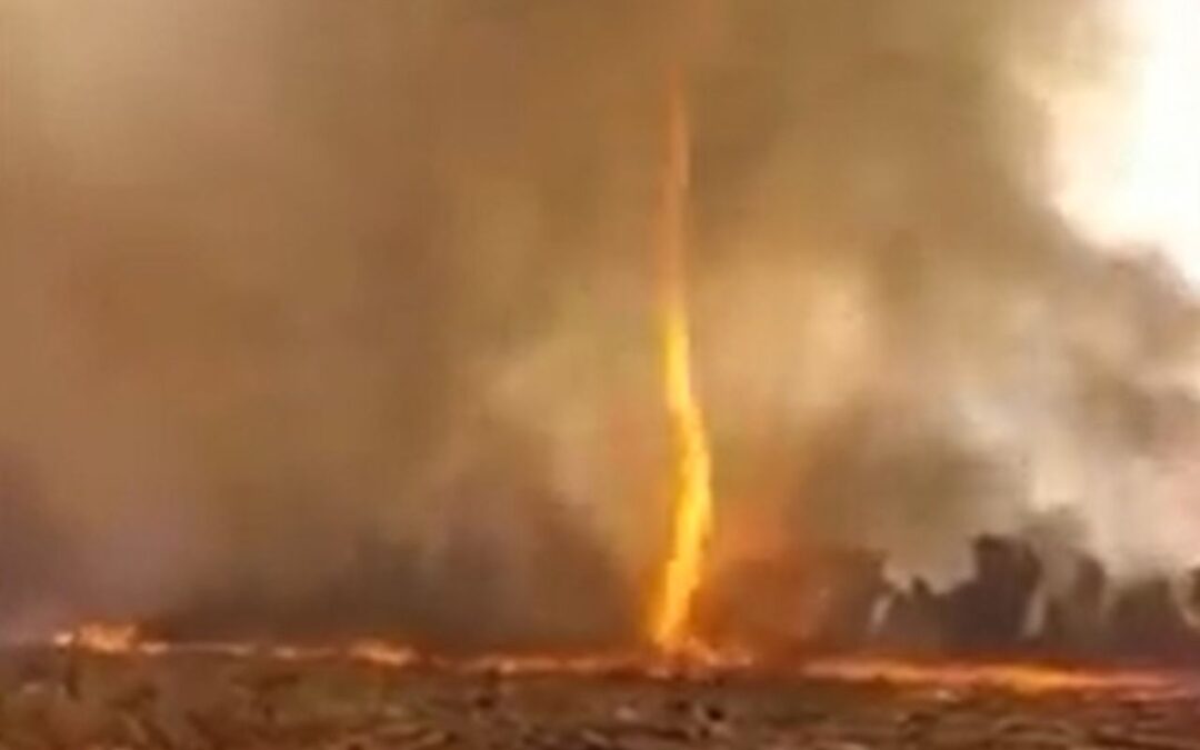 Videos: los incendios forestales no cesan y captan impresionantes “tornados de fuego”