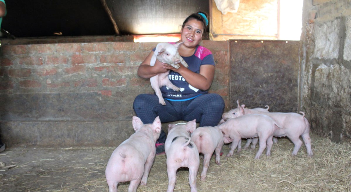 provincia microcréditos agro