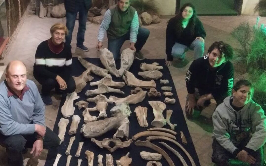 Descubren un centenar de fósiles de animales prehistóricos en San Pedro