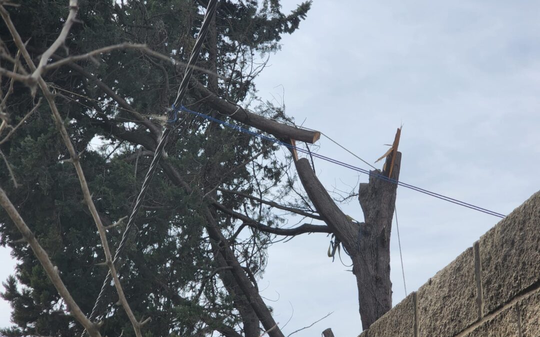 Se hizo el podador y dejó a dos barrios sin luz por una rama que cayó en los cables