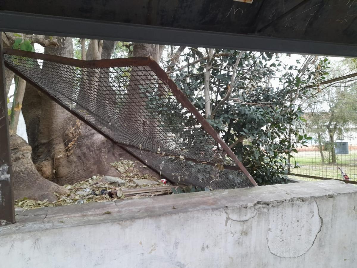 robos escuelas La Plata