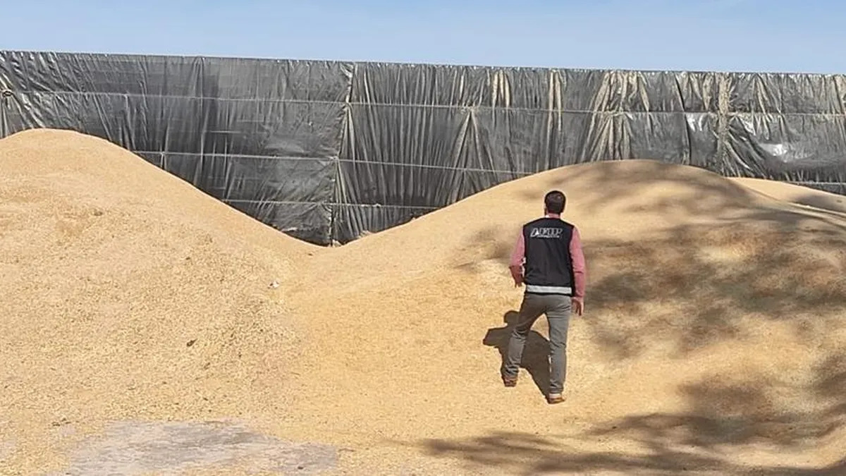 La AFIP de Castagnetto sigue cazando cerealeros poderosos y truchos: ahora 2800 toneladas maíz y 118 de soja en Córdoba