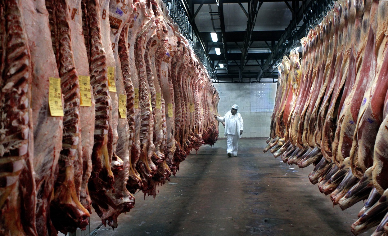 exportación carne