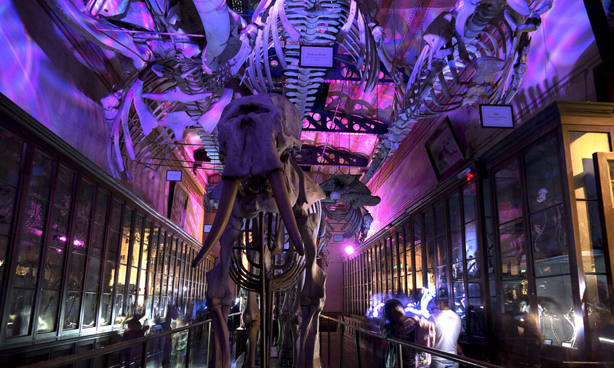 Una noche en los museos