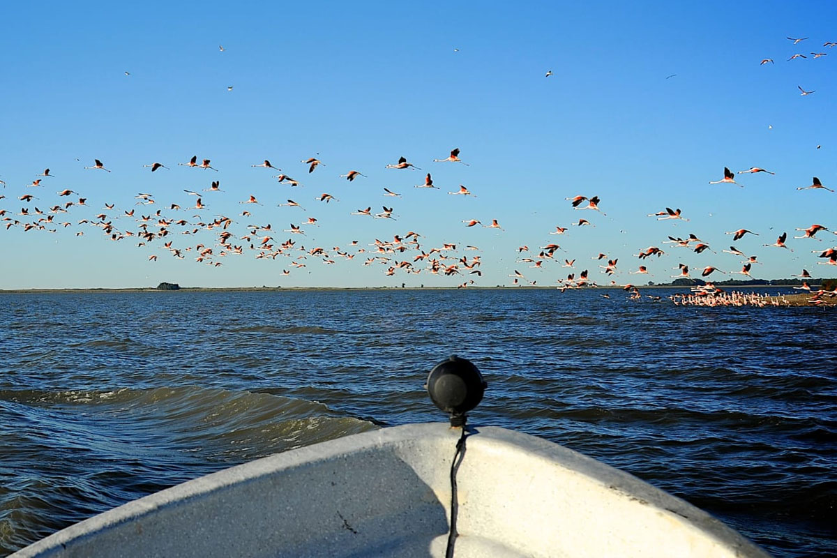 lagunas bonaerenses