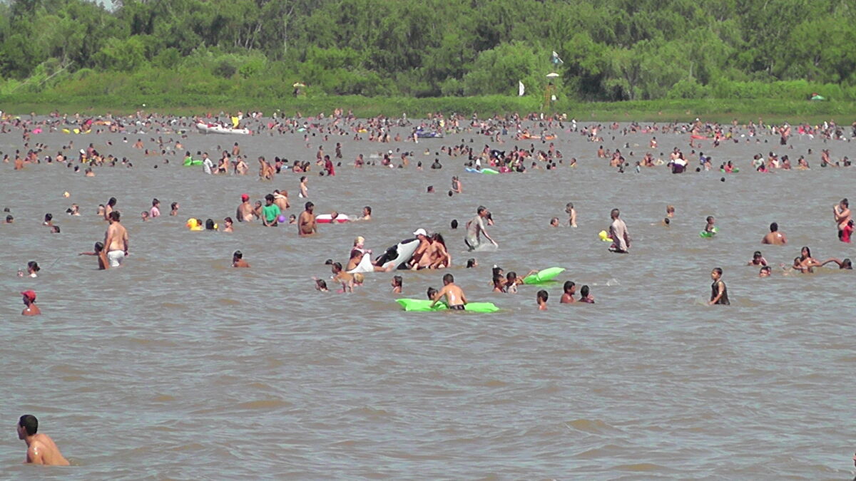 rio de la plata cianobacterias