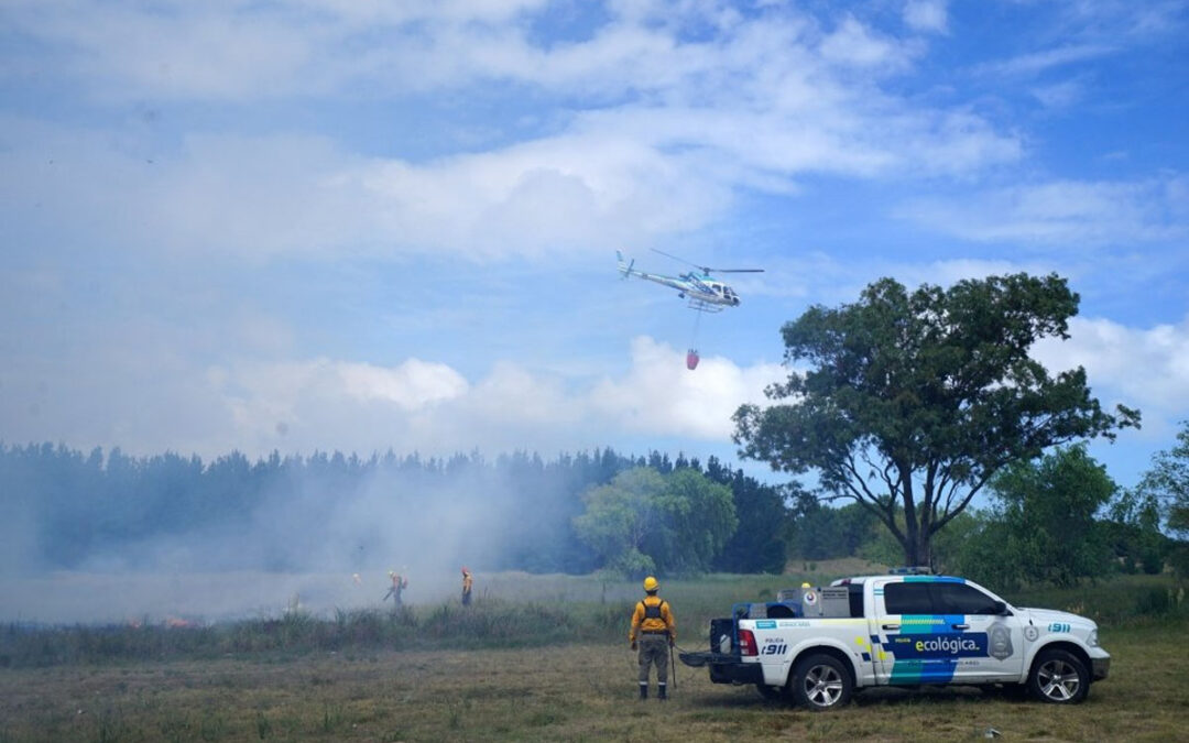 Incendio forestal entre Villa Gesell y Cariló: genera poca visibilidad en la ruta 11 y bomberos actúan para controlar los focos activos