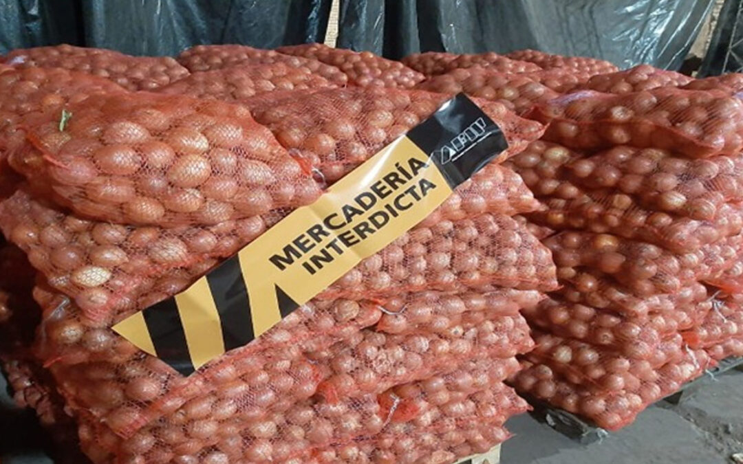 Para llorar: la AFIP desbarató maniobras de productores “truchos” de cebolla