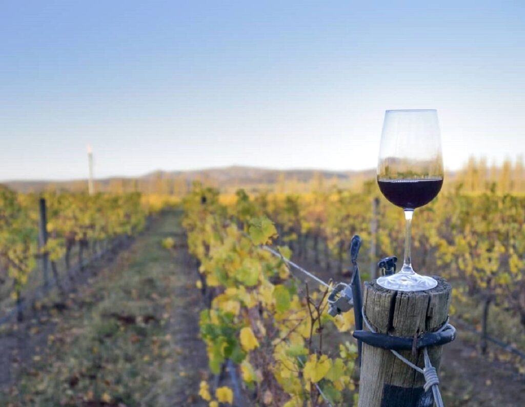 Bodega Saldungaray