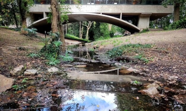 Recuperan el arroyo de la “Casa del Puente” de Mar del Plata
