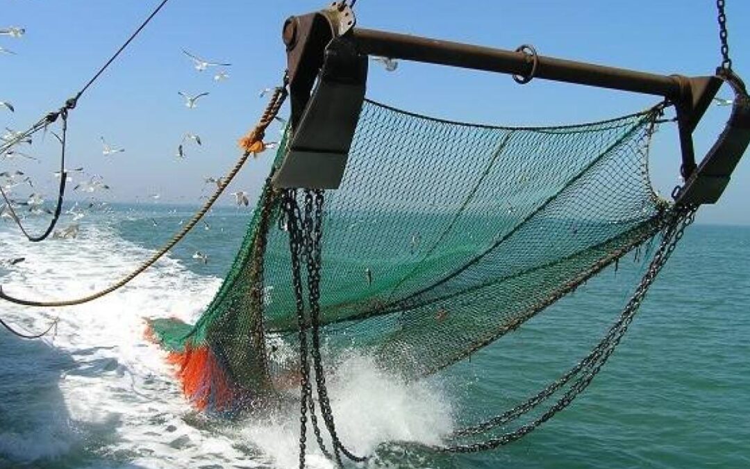 Argentina es el primer país en adoptar una nueva regulación para la pesca de arrastre