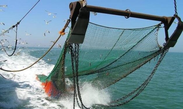 Argentina es el primer país en adoptar una nueva regulación para la pesca de arrastre