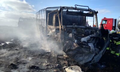 ruta 41