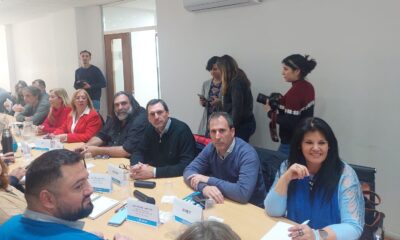 paritaria docente