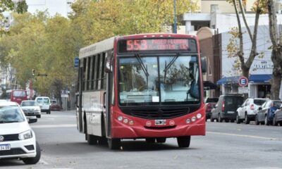 colectivos gratis elecciones