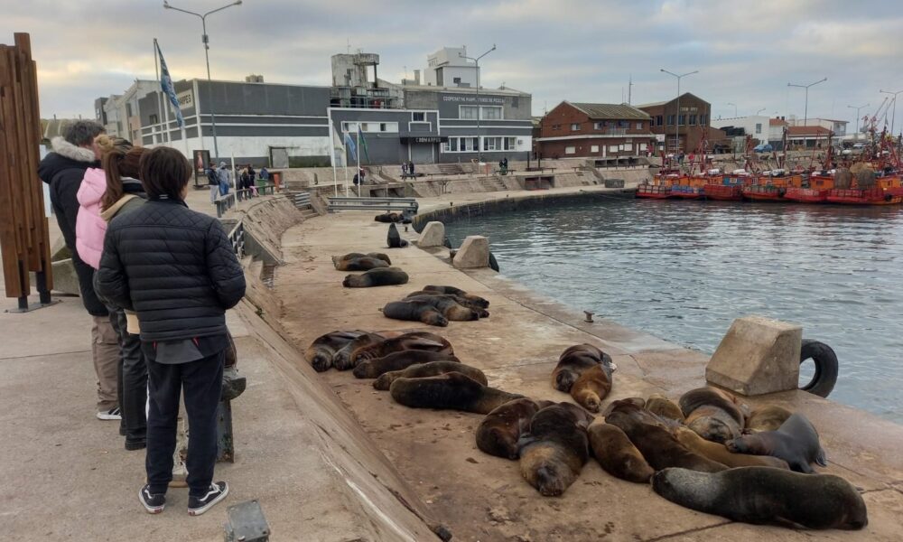 escollera sur Mar del Plata