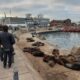 escollera sur Mar del Plata