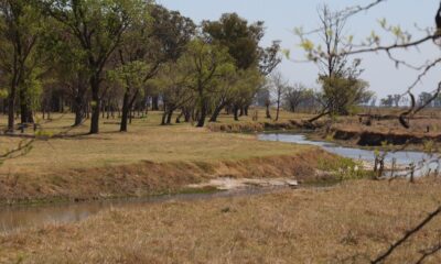 arroyo los leones Suipacha