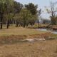 arroyo los leones Suipacha