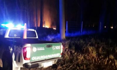 incendio parque Miguel Lillo