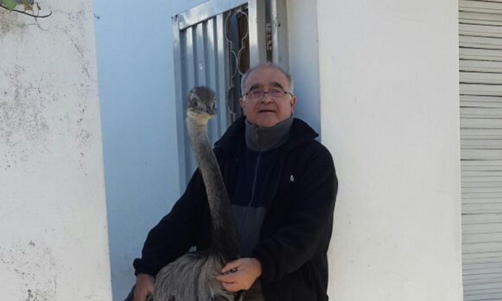 Omar Belardinelli
