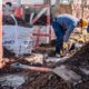 Edelap obras