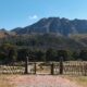 Cerro Cashuati