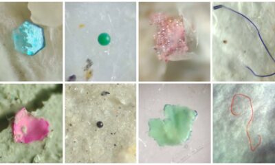 microplásticos