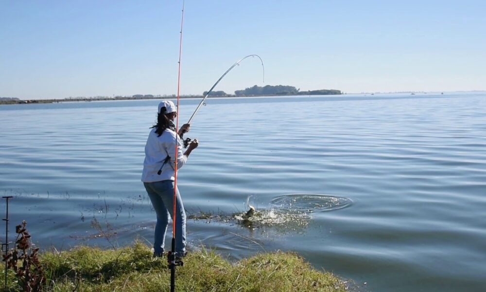 cianobacterias lagunas