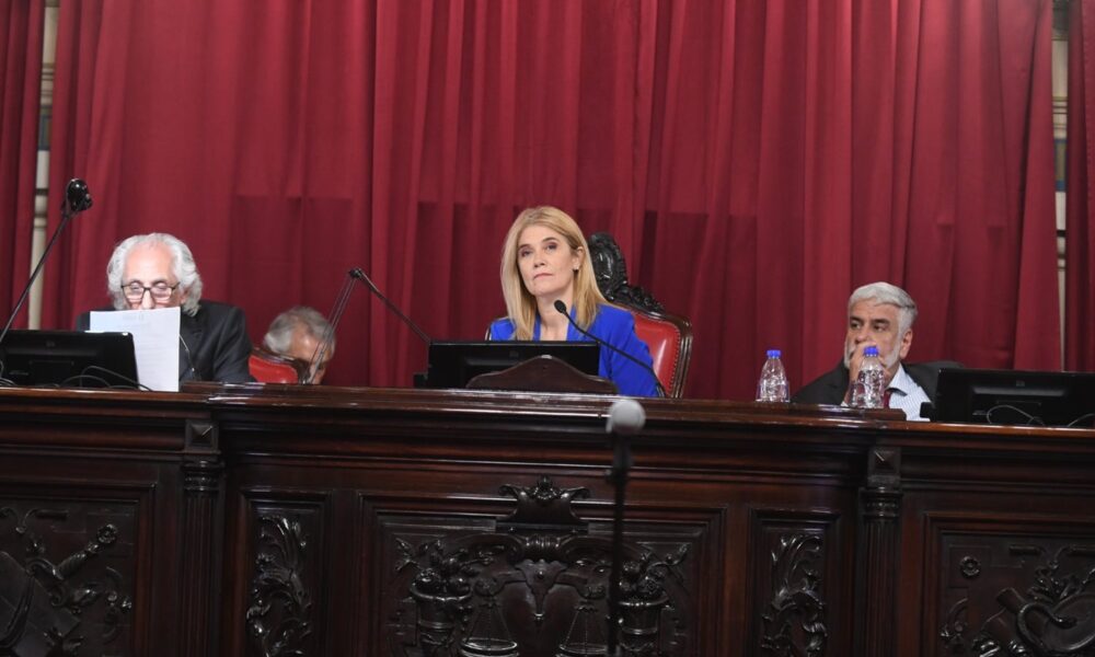 senado provincial