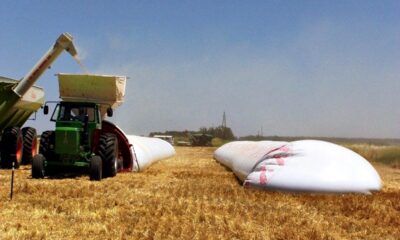 dolar agro