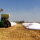 dolar agro