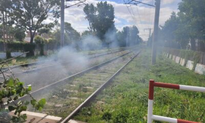 Tren Roca