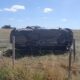 tragedia ruta 29