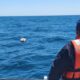 kayak claromecó
