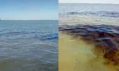 derrame Bahía Blanca