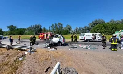 Ruta 41