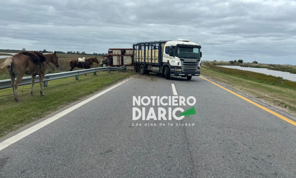 Camión ruta 11