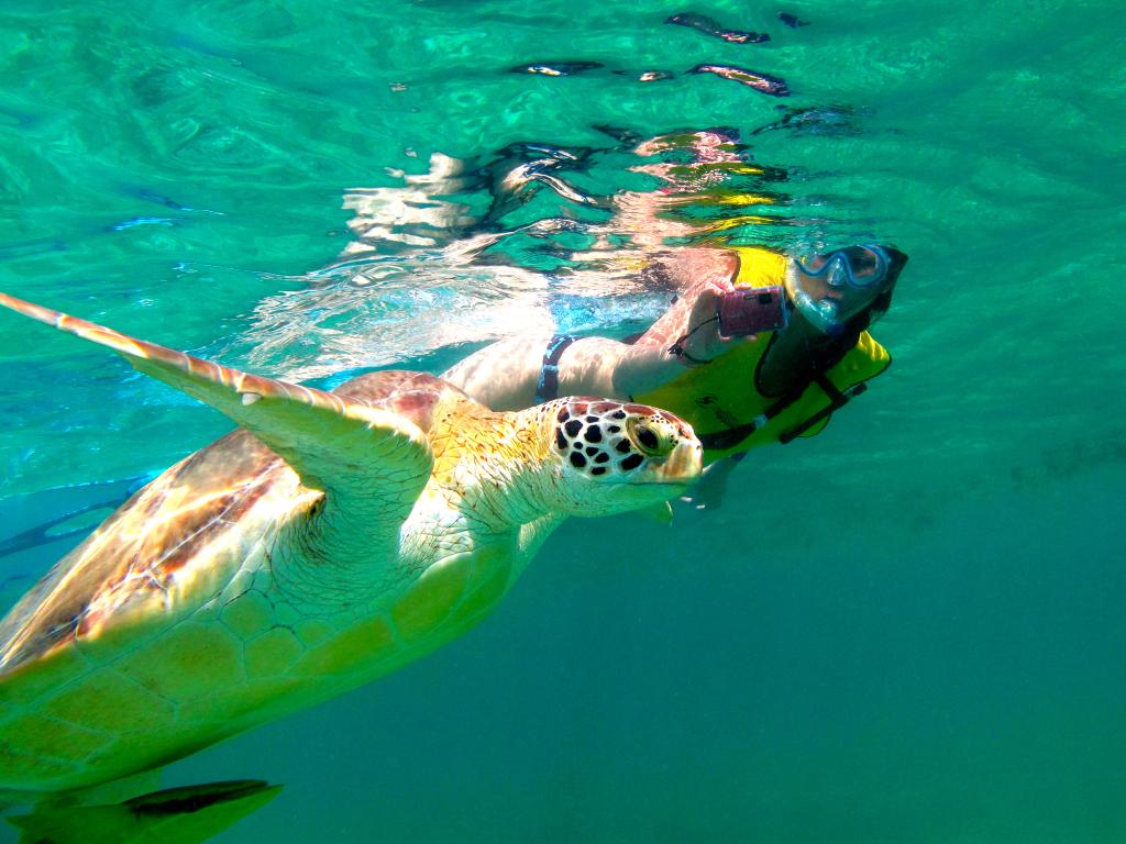 excursiones riviera maya