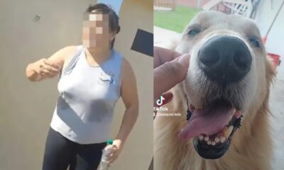 come perro La Plata