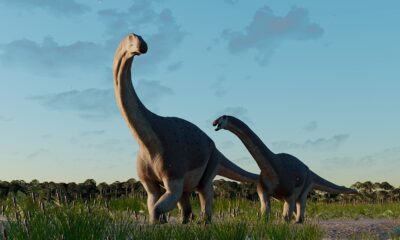 titanosaurio